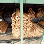 НСИ: Общият индекс на цените на производител през юни нараства с 0.6% спрямо предходния месец