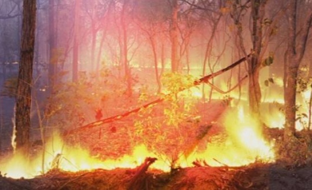 Пожарът край ардинското село Светулка се разраства
