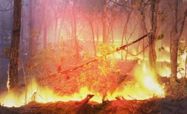 Пожарът край ардинското село Светулка се разраства