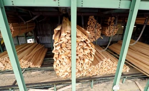 НСИ: Общият индекс на цените на производител през юни нараства с 0.6% спрямо предходния месец