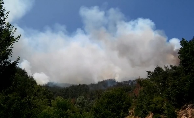 Пожарът край Ардино е овладян