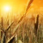 Не съдете всеки ден...