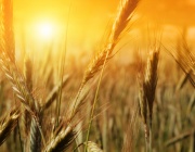 Не съдете всеки ден...