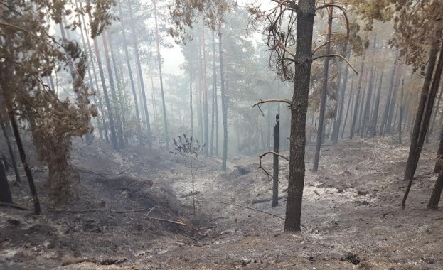 Овладян е пожарът в землището на село Невестино