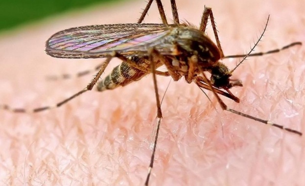 Днес Община Казанлък ще извърши второ профилактично третиране срещу комари
