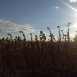 Предстоящи събития в страната 