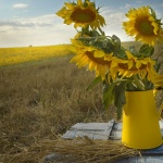 Рождениците днес 