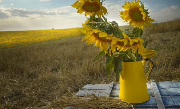 Рождениците днес 