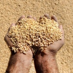 Браншовици: В момента всичко поскъпва