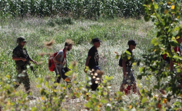 Съдия: Трафикантите взимат по 12 хил. евро