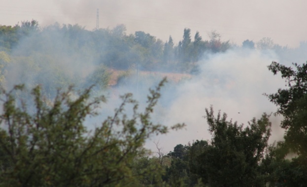 Трети ден гасят пожар в Сакар