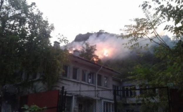 Гори южният склон на Младежкия хълм в Пловдив (видео)