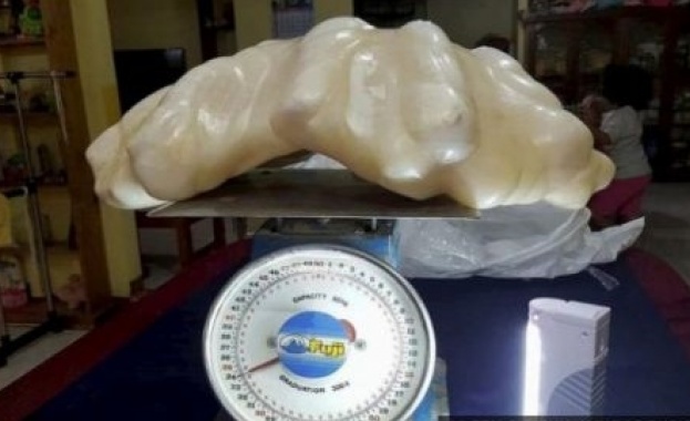 Откриха най-голямата перла в света с тегло 34 килограма