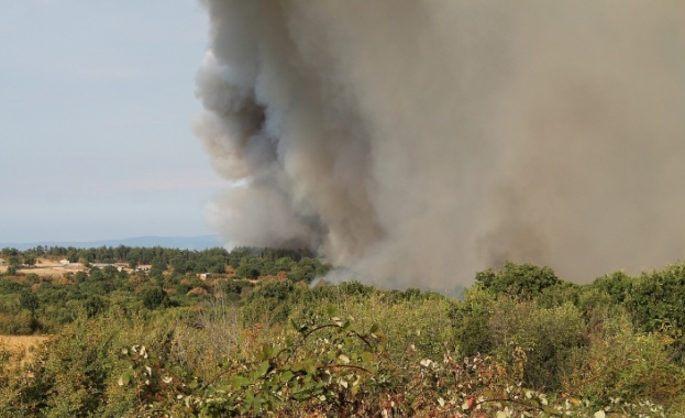 Бедствено положение в Гълъбово заради пожар