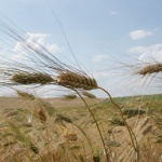 Предстоящи събития в страната 