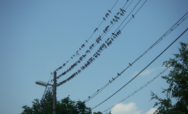 90 милиона лева дължи НЕК на АЕЦ „Козлодуй“