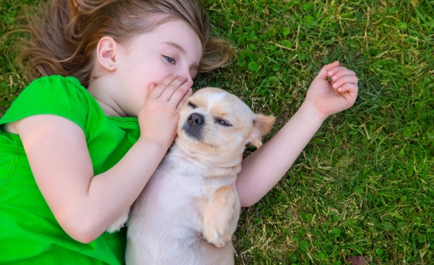 Учени провериха дали наистина кучетата ни обичат безрезервно