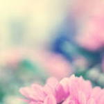 Рождениците днес 