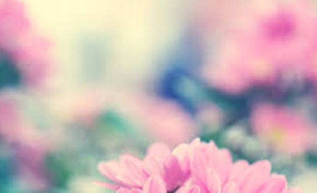 Рождениците днес 