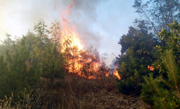 Община Тополовград обяви частично бедствено положение 