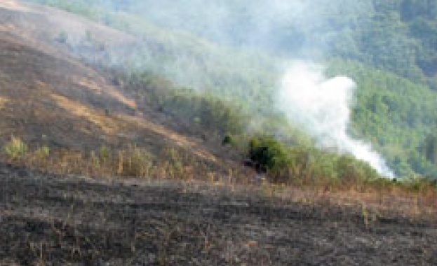 Пожарът около Главан е овладян
