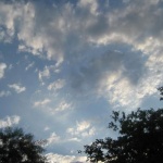 Предстоящи събития