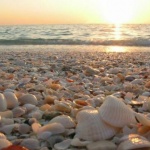 Предстоящи събития в страната 