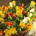 Рождениците днес 