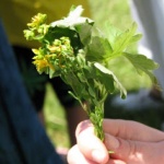 Честит празник на...