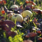 Предстоящи събития в страната за 21 септември