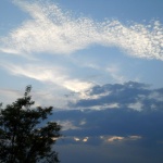 Предстоящи събития 