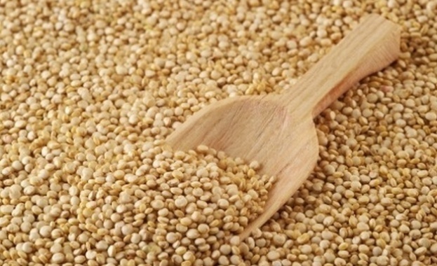 Забраната за внос на зърно слънчоглед и други храни от