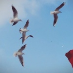 60 000 руски туристи са посетили за месец Турция