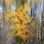 Предстоящи събития в страната 