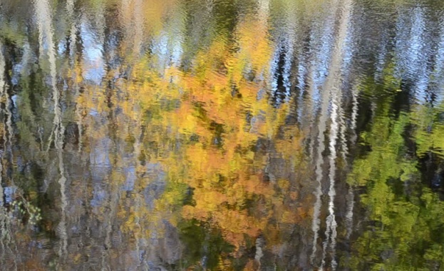 Предстоящи събития в страната 