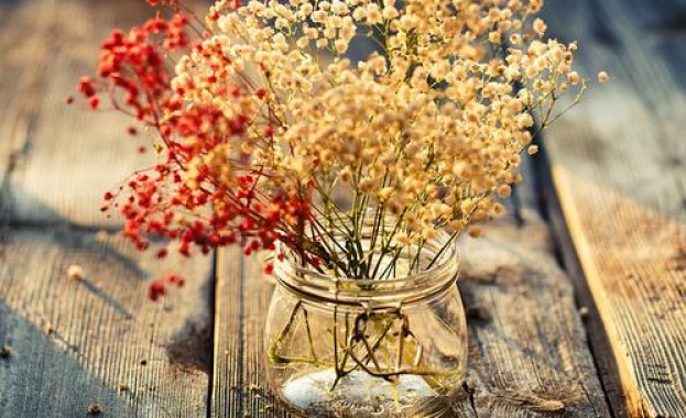 Честит рожден ден на...