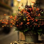 Честит празник на...