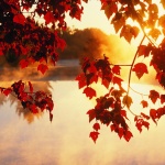 Предстоящи събития в страната 