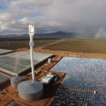 Ферма отглежда зеленчуци сред пустиня