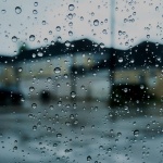 Предстоящи събития в страната 