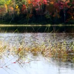 Предстоящи събития в страната 