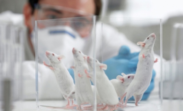 Откритие: болката е „заразна“