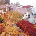 Младоженци от цял свят вдигат сватби в Двореца на Балчик