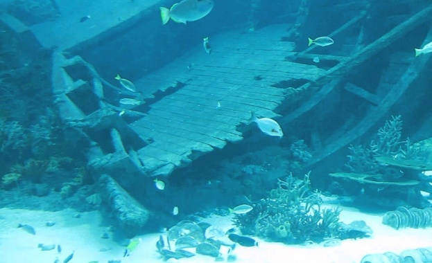 Учени откриха десетки запазени кораби на дъното на Черно море