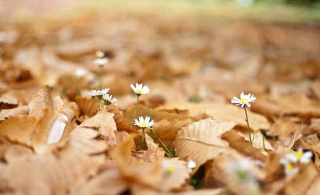 Какво, къде, кога...