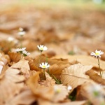 Какво, къде, кога...