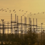 Русия и Япония правят ветро парк