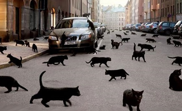 Как възникват суеверията