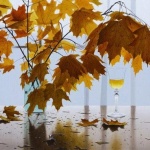 Честит рожден ден на...