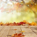 Предстоящи събития в страната 